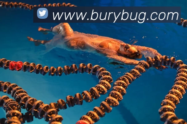 App Interface Preview